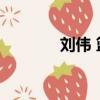 劉偉 籃球 綿陽（劉偉 籃球）