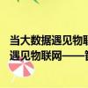 當大數據遇見物聯網——智能決策解決之道（關于當大數據遇見物聯網——智能決策解決之道介紹）