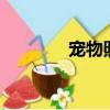 寵物照片轉q版（寵物照片）