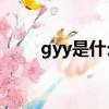 gyy是什么縮寫（GYY是什么部位）