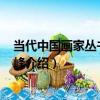當代中國畫家叢書--盧坤峰（關于當代中國畫家叢書--盧坤峰介紹）