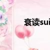衰讀sui是哪的讀音（哪的讀音）