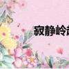 寂靜嶺起源劇情（寂靜嶺 起源）