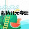 射橋開元寺遺址（關于射橋開元寺遺址簡介）