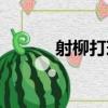 射柳打球（關于射柳打球簡介）