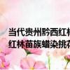 當代貴州黔西紅林苗族蠟染挑花百褶裙（關于當代貴州黔西紅林苗族蠟染挑花百褶裙介紹）