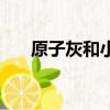 原子灰和小補土有什么區別（原子灰）