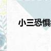 小三恐懼癥（關于小三恐懼癥簡介）