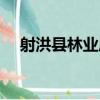 射洪縣林業局（關于射洪縣林業局簡介）