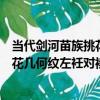 當代劍河苗族挑花幾何紋左衽對襟衣（關于當代劍河苗族挑花幾何紋左衽對襟衣介紹）