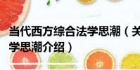當代西方綜合法學思潮(關于當代西方綜合法學思潮介紹)