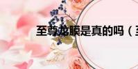 至尊龍膜是真的嗎(至尊龍膜)