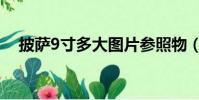 披薩9寸多大圖片參照物(披薩9寸多大)