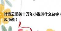 葉青云閉關十萬年小說叫什么名字(葉青云關閉十萬年是什么小說)