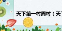 天下第一村周村(天下第一村)