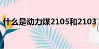 什么是動力煤2105和2103(什么是動力煤)