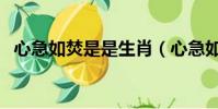 心急如焚是是生肖(心急如焚是什么生肖)