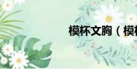 模杯文胸(模杯)