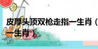 皮厚頭頂雙槍走指一生肖(皮厚頭頂雙槍走猜一生肖)