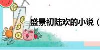 盛景初陸歡的小說(盛景初)