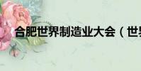 合肥世界制造業大會(世界制造業大會)