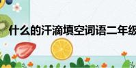 什么的汗滴填空詞語二年級(什么的汗滴)