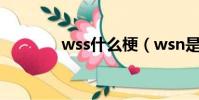 wss什么梗(wsn是什么梗)