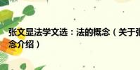 張文顯法學文選:法的概念(關于張文顯法學文選:法的概念介紹)