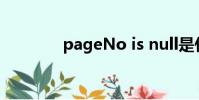 pageNo is null是什么意思