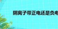 陰離子帶正電還是負電(陰離子)