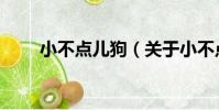 小不點兒狗(關于小不點兒狗簡介)
