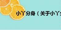 小丫分身(關于小丫分身簡介)