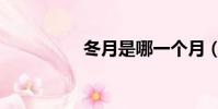 冬月是哪一個月(冬月)