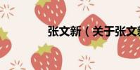 張文新(關于張文新介紹)