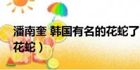 潘南奎 韓國有名的花蛇了(潘南奎為什么叫花蛇)