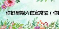 你好星期六官宣常駐(你好星期六官宣)