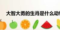 大智大勇的生肖是什么動物(大智大勇)
