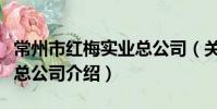 常州市紅梅實業總公司(關于常州市紅梅實業總公司介紹)