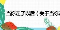 當你走了以后(關于當你走了以后介紹)