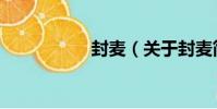 封麥(關于封麥簡介)
