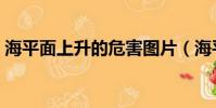 海平面上升的危害圖片(海平面上升的危害)