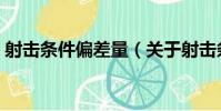 射擊條件偏差量(關于射擊條件偏差量簡介)