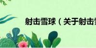 射擊雪球(關于射擊雪球簡介)