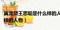 翼龍貸王思聰是什么樣的人物(王思聰是什么樣的人物)
