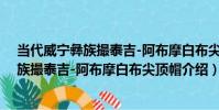 當代威寧彝族撮泰吉-阿布摩白布尖頂帽(關于當代威寧彝族撮泰吉-阿布摩白布尖頂帽介紹)