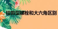 扭剪型螺栓和大六角區別(扭剪型螺栓)