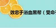 效忠于浴血黑幫(受命于浴血黑幫)