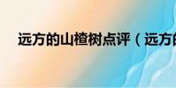 遠方的山楂樹點評(遠方的山楂樹評價)