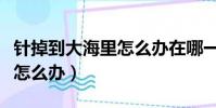 針掉到大海里怎么辦在哪一科(針掉到大海里怎么辦)