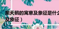 黑天鵝的寓意及象征是什么?(黑天鵝的寓意及象征)
